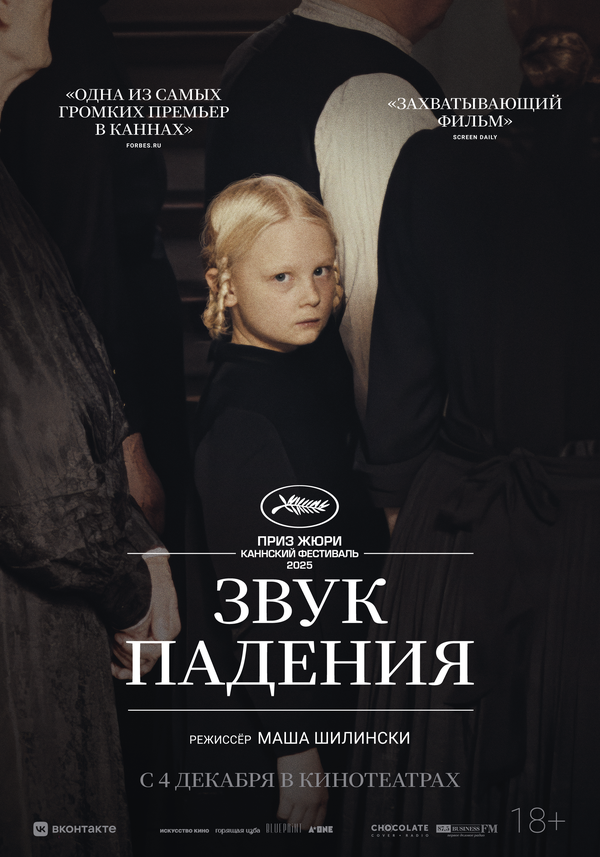 Звук падения. Постер